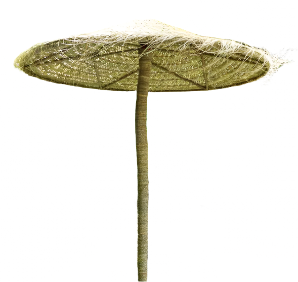 Household Hardware seagrass parasol