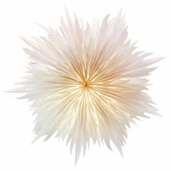 Starlightz Stella Magnolia paper star lantern white